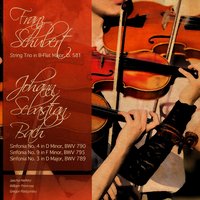 String Trio in B-Flat Major, D. 581: III. Menuetto - Jascha Heifetz & William Primrose & Gregor Piatigorsky & Франц Шуберт