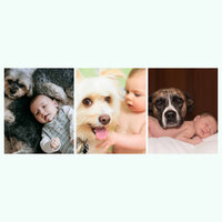 Ambience (Stressed Pup) - Calming Music for Dogs
