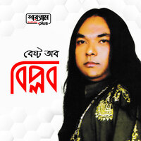 Na Pawar Batha - Biplob