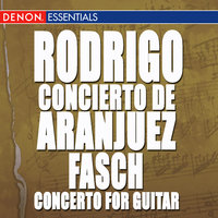 Concerto for Guitar and Strings in D Minor: II. Andante - Milan Zelenka & Jozef Zsapka & Dagmar Zsapkova & Иоганн Фридрих Фаш