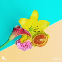 Baby I'm Yours - Dance Fruits Music