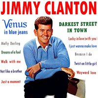 I Just Wanna Make Love - Jimmy Clanton