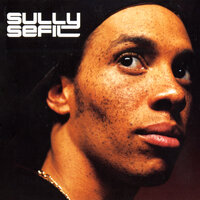 Pour mes ladies et mes lauss - Sully Sefil & Busta Flex