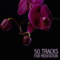 Spa Music for Relaxation - New Age Naturists