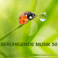 Einschlafhilfe zur Entspannung - Beruhigende Musik Akademie
