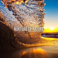 Night Shore - Nurture of Nature