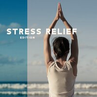 Pure Calmness - Julie Riviera