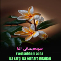 Sok Chi Kafir Ta - Syed subhani Agha