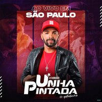 Fígado Encharcado no Álcool - Unha Pintada