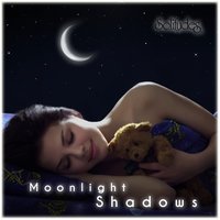 Nightfall - Dan Gibson's Solitudes