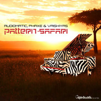 Pineapple X-Press - Audiomatic & Phaxe