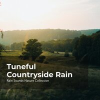 Rain in Countryside - ASMR Rain Sounds & Rain Sounds Nature Collection & Sleepy Rain