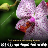 Muzh De Pa Shor Da Taranum Yadawo - Qari Muhammad Shafay Zaheer