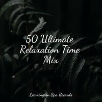 Spirit Awakening - White Noise Baby Sleep & Rain and Nature & Pure Serenity Spa Music & Massage Collective Garden & Zen Relaxation Meditation
