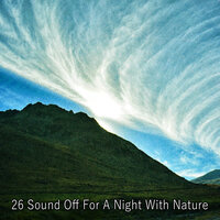 Дикая атмосфера - Nature Sounds Artists