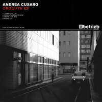 White Lion - Andrea Cusaro