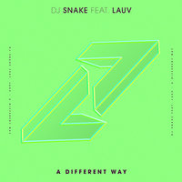 A Different Way - DJ Snake & Lauv