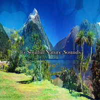 Успокаивающая безмятежная душа - Relaxing With Sounds of Nature and Spa Music Natural White Noise Sound Therapy