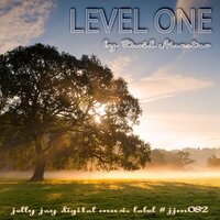 Level One - David Maestro