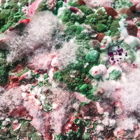 Plasticine - Helen Fry