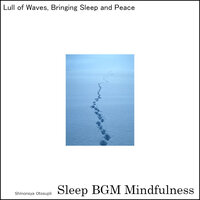 Soothing Moments with Breath Techniques for Mental Harmony - Sleep BGM Mindfulness