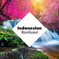 Indonesian Rainforest Pt. 6 - Rainforest & Asian Zen