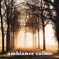 Wildlife Night Sounds - Oasis de Détente et Relaxation & Zen Ambiance d'Eau Calme & Chakras Yoga Spécialistes