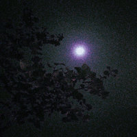 Dense Fog - Lapiz & wosX