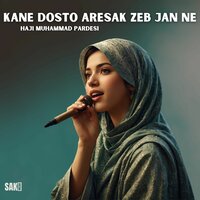 Kane Baz Dostus Wafadar - Haji Muhammad Pardesi