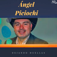 CADA UNO POR SU LADO - Angel Piciochi