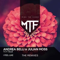 Feel Like You - Andrea Belli & Julian Moss & Elle & Wlady & T.n' .Y.