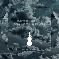 Saving Daylight - Nature & Strings