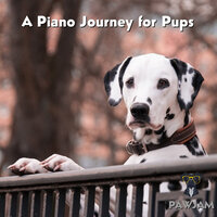 Piano Prance Interlude - PawJam