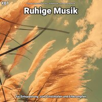 Ruhige Musik pt. 44 - Entspannungsmusik Archiv & Schlafmusik & Entspannungsmusik