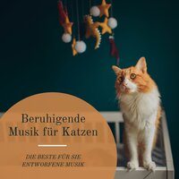 Ruhe und Gelassenheit - Katzenklo