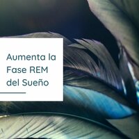 Despierta Feliz y con Energía - Musica Para Dormir