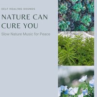 Nature Can Cure You - Echo of Light