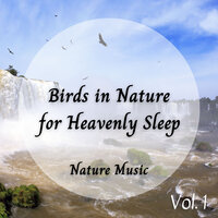 200hz Nature Drone - Sleep Lab & Music For Studying & Yoga Music Reflections