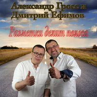 День автомобилиста - Александр Гросс и Дмитрий Ефимов