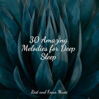 Surfing - Zen Music Garden & Especialistas de Musica para Dormir & Chillout Lounge