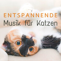 Du Bist Mein Stern - Cat Whisper