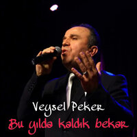 Bu yılda kaldık bekar - Veysel Peker