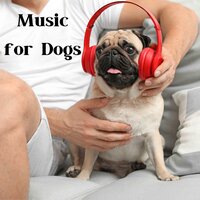 Ruff Day Today - Music for Dogs & Music for Dogs Peace & Relaxing Puppy Music & Calm Pets Music Academy