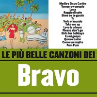 Luna - Bravo