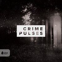 Cybercrime - Nicholas Hill & Andrew Ernest