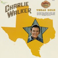 Blue Eyes Crying in the Rain - Charlie Walker