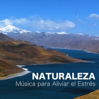 Meditación - Namaste