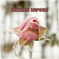 Дорога в мечты - Музыка для увеличения памяти & Мелодии проявления