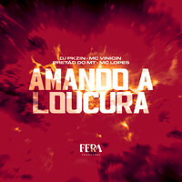 Amando a Loucura - Dj Pkzin & MC Vinicin & pretão do mt & MC LOPES