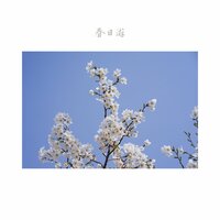 南园春 - 七十一
